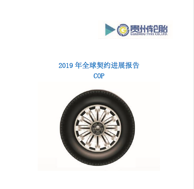 永乐高70net2019年全球左券年度希望报告COP